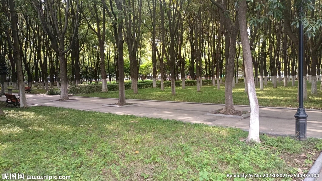 风景