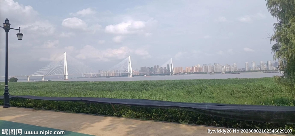 风景