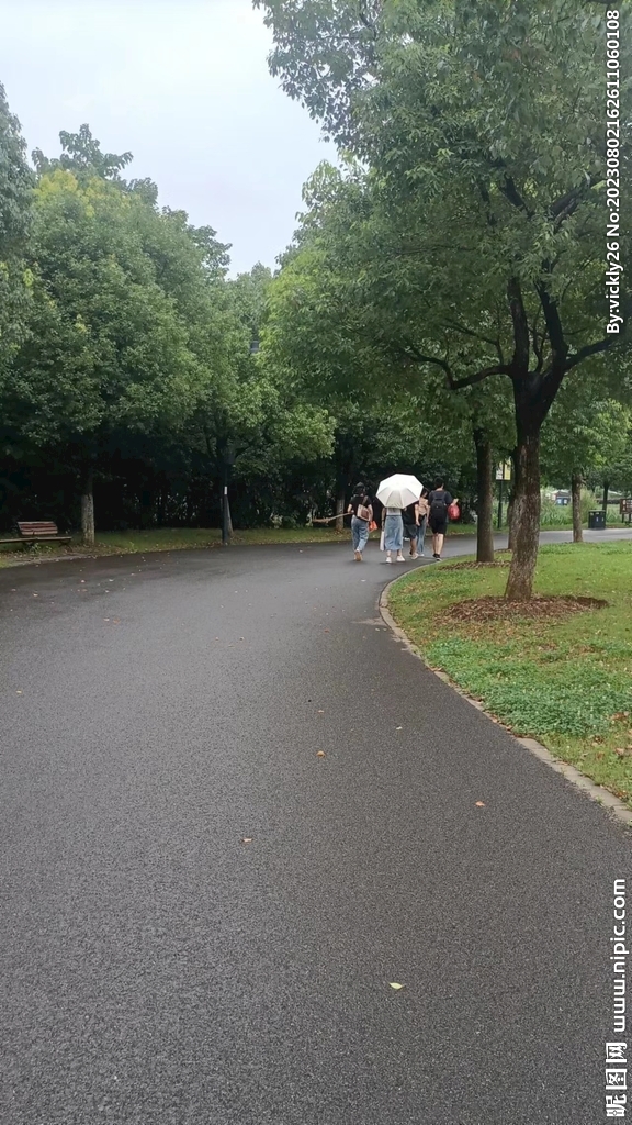 风景