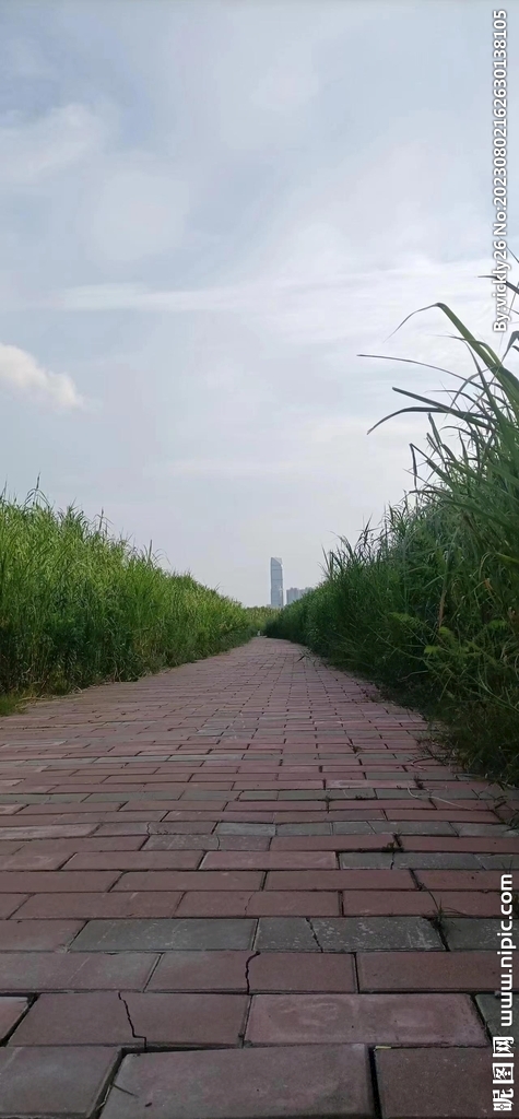 风景