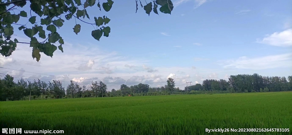 风景