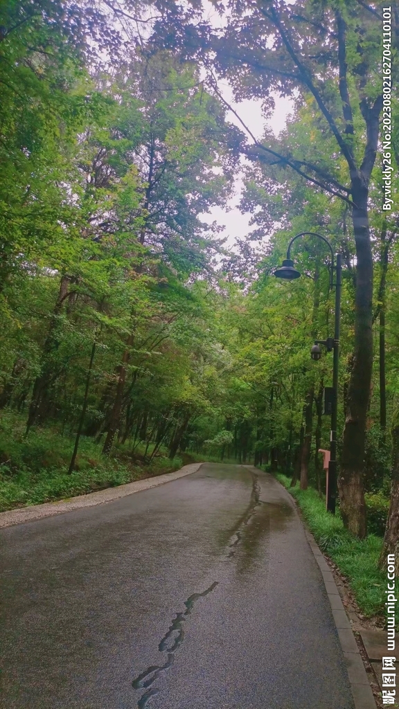 风景