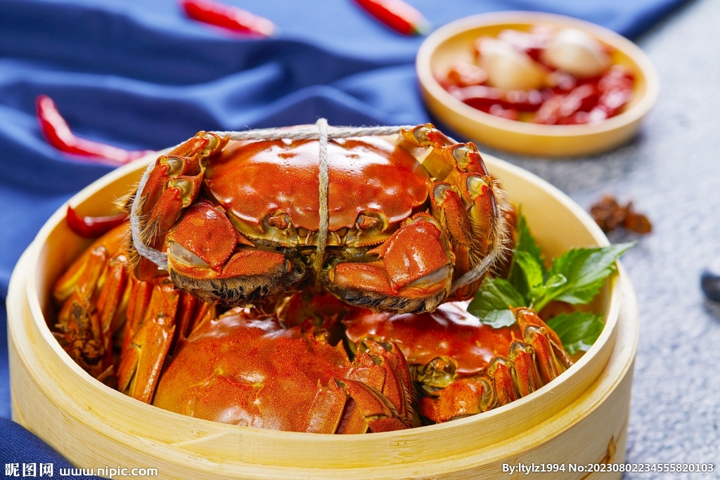 大闸蟹素材