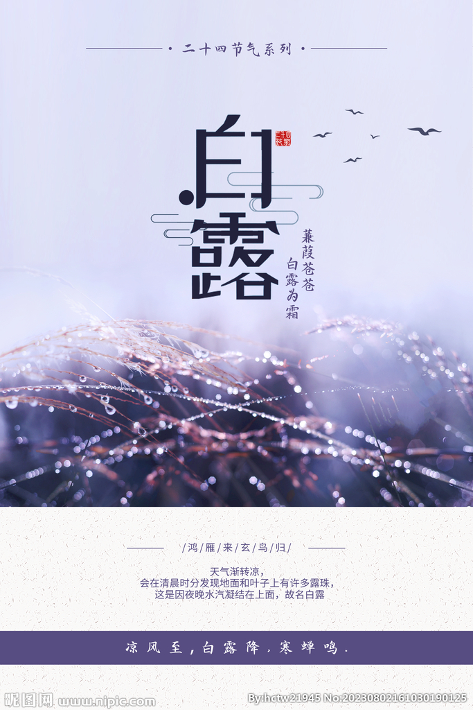 白露 二十四节气