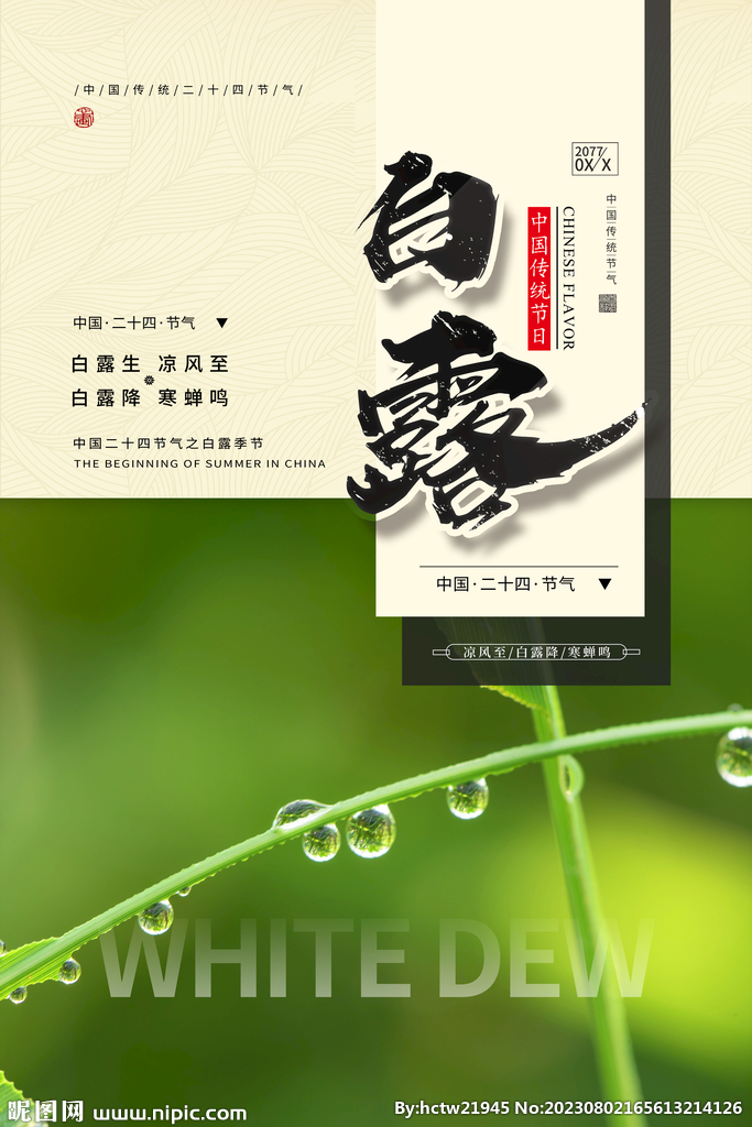 白露 露珠 二十四节气