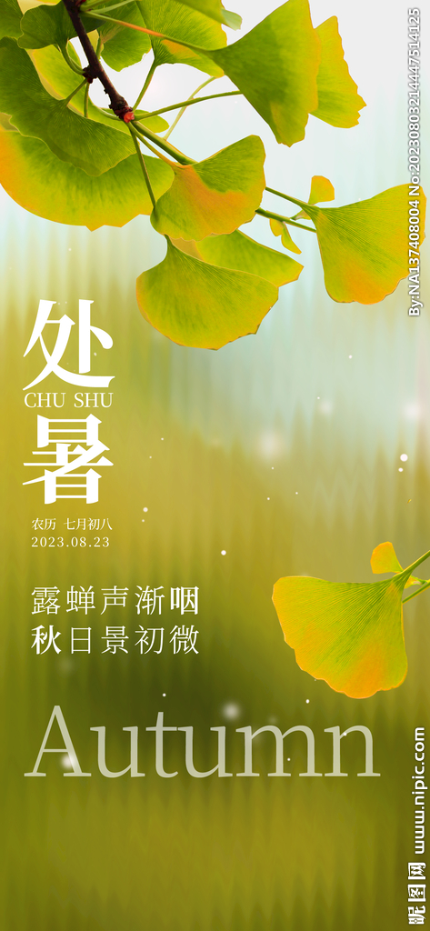 处暑海报