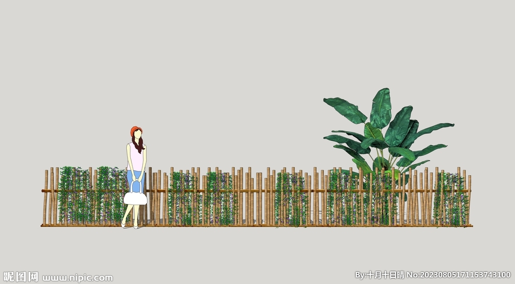 篱笆与藤