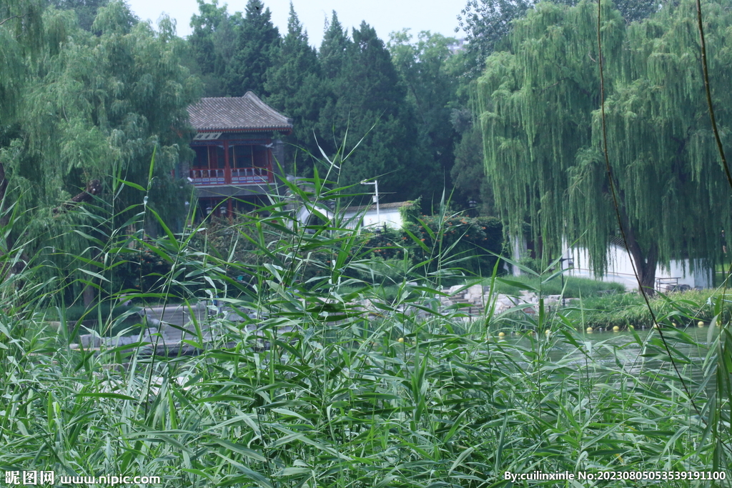 公园风景