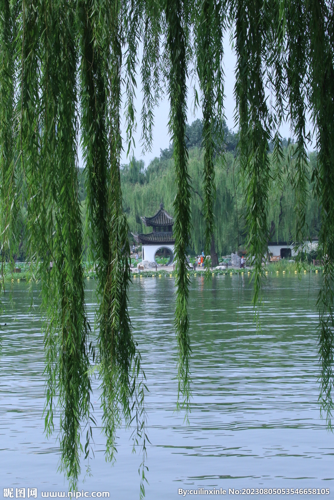 公园风景