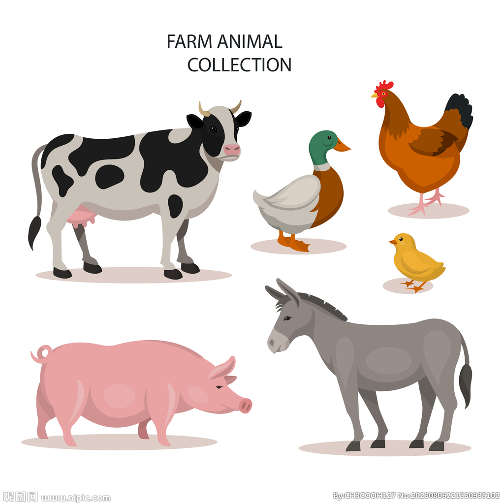 动物农场插画图片