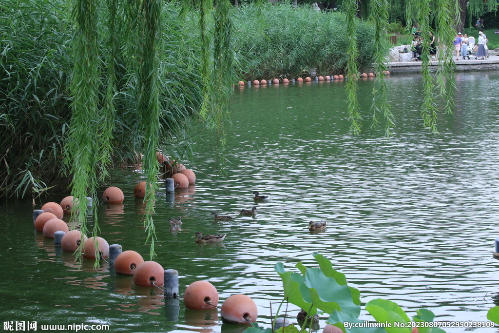 公园风景 