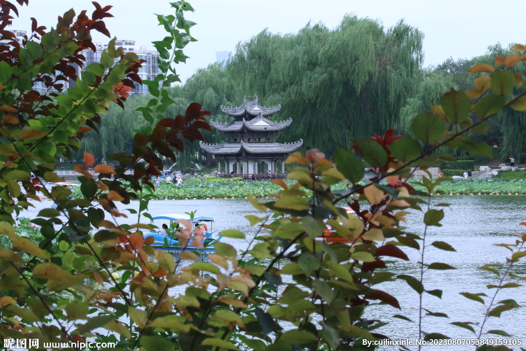 公园风景 