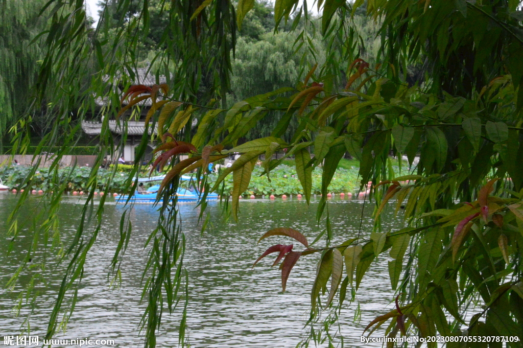 公园风景