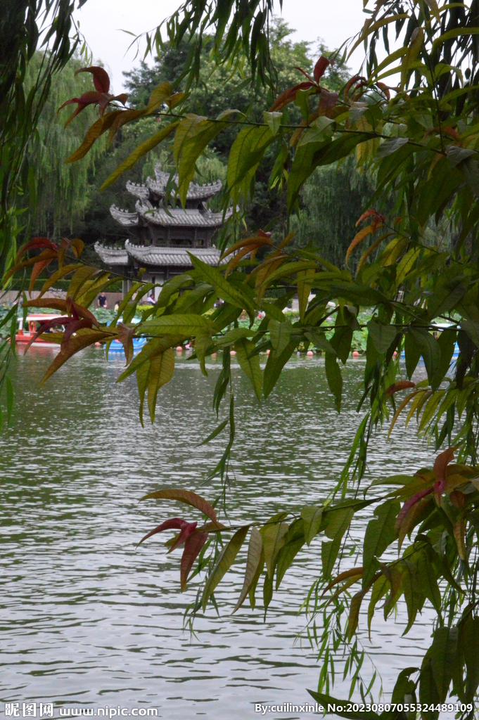 公园风景 