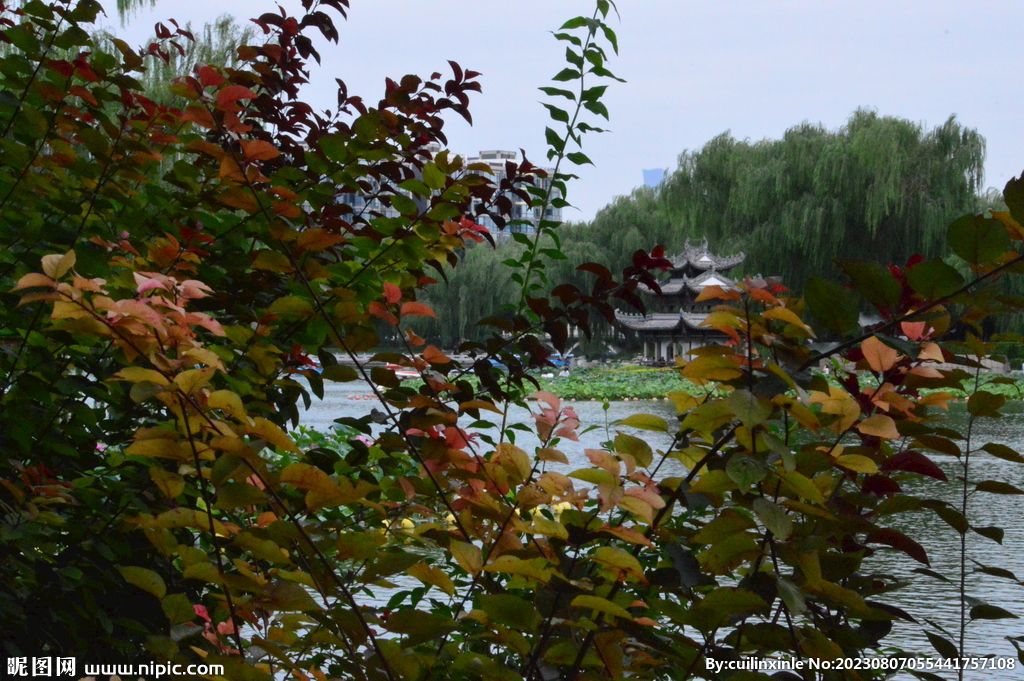 公园风景 