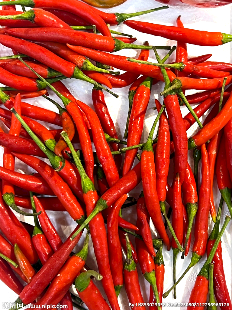 小红辣椒