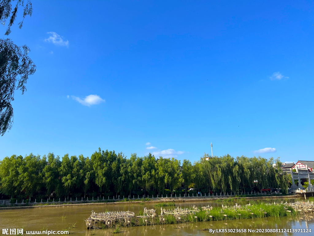 蓝天绿树
