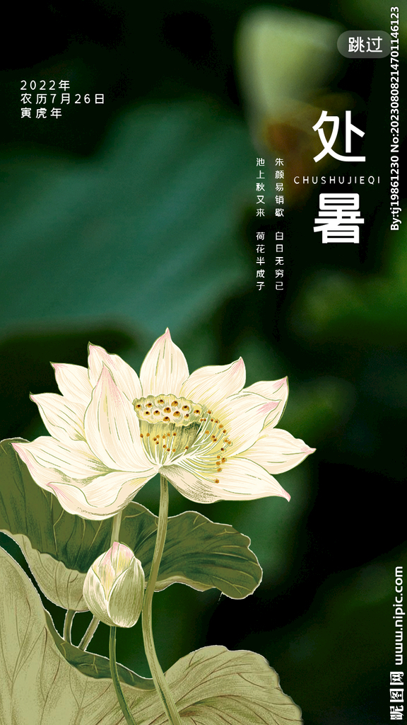 二十四节气处暑创意海报