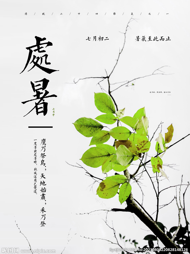 简约清新二十四节气之处暑节气海