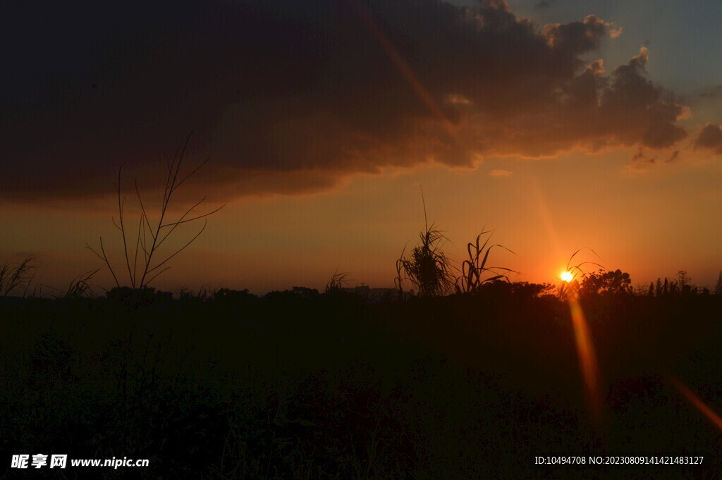 郊野夕阳