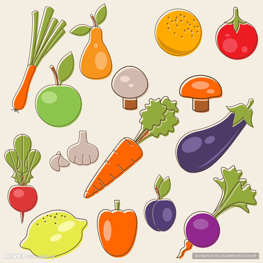 蔬菜插画