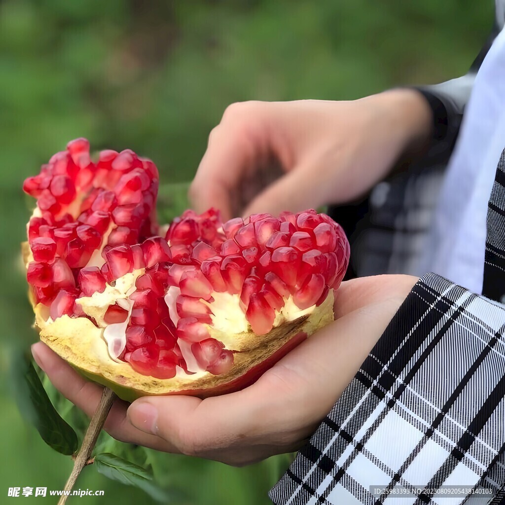 石榴