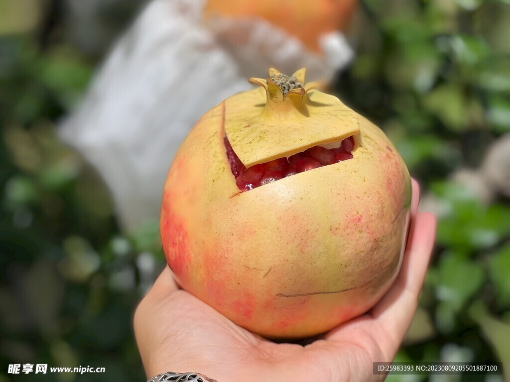 石榴