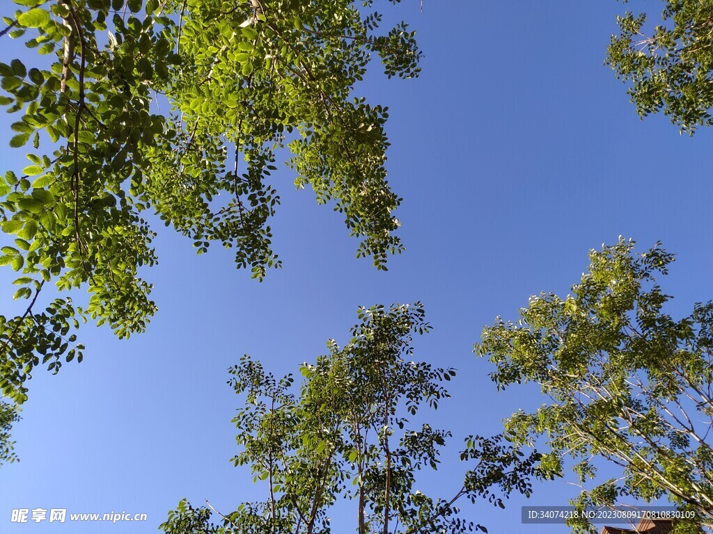 晴空