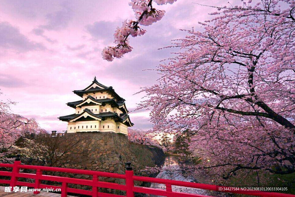 樱花和寺庙
