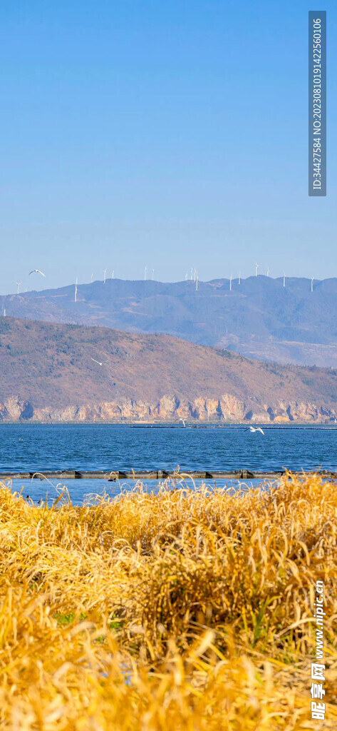 风车和湖景 