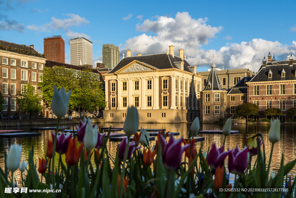 荷兰城市风景