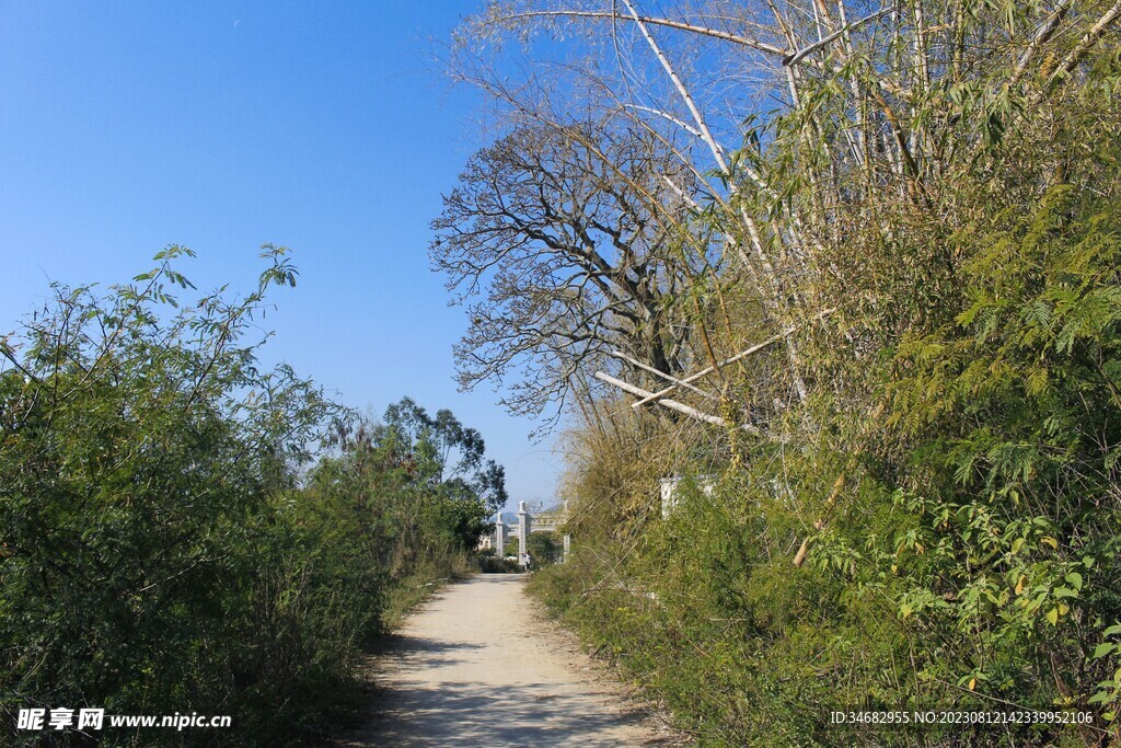 山路