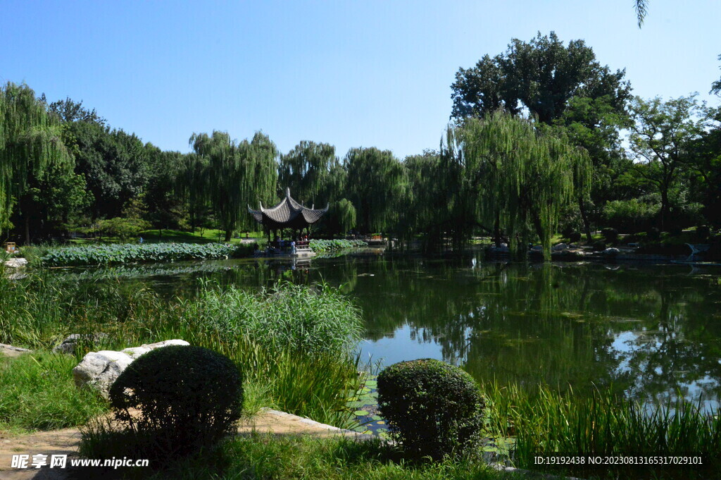 公园风景