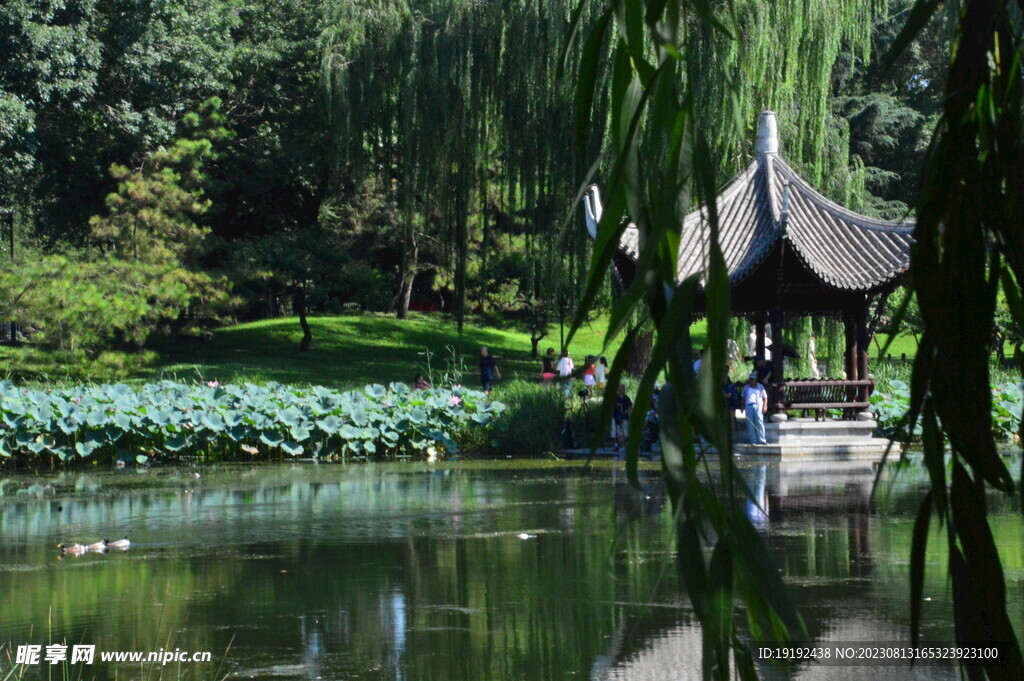 公园风景 