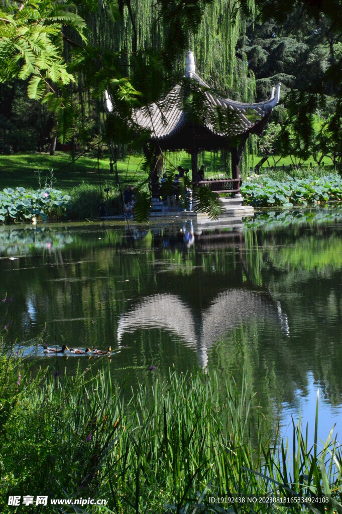 公园风景 