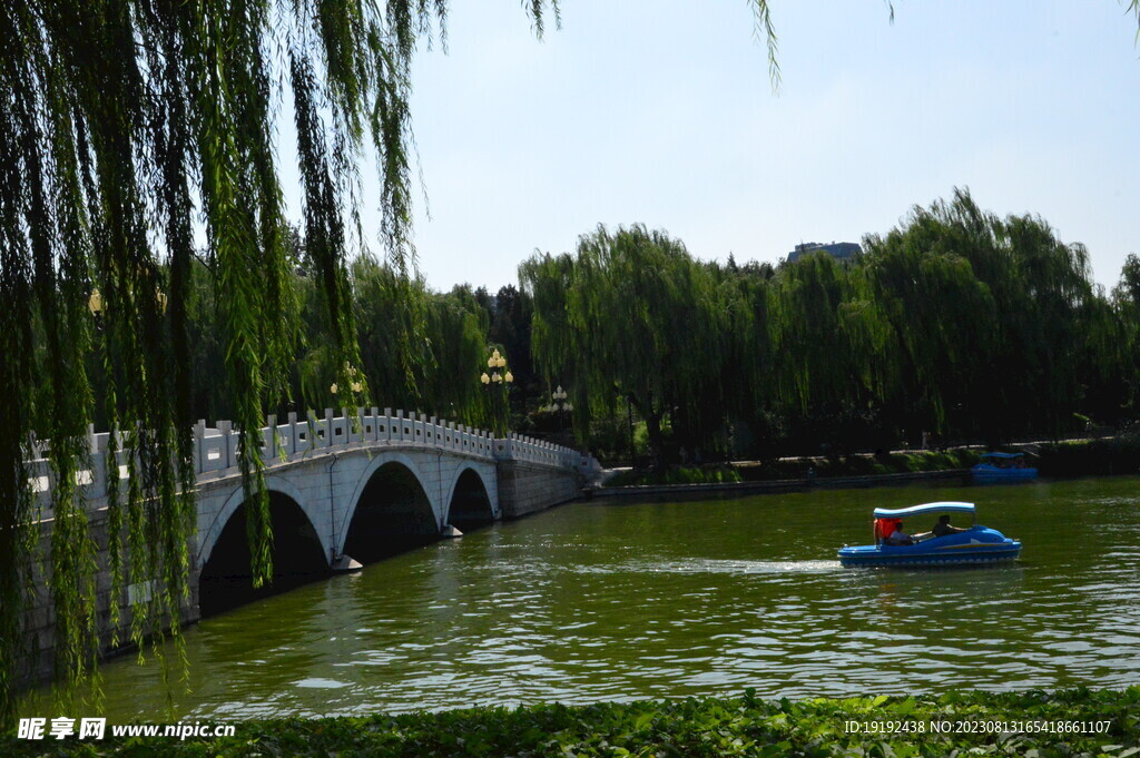 公园风景