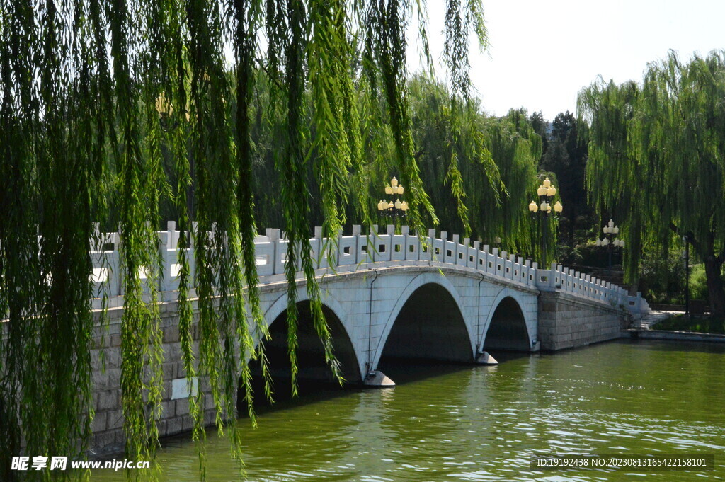 公园风景 