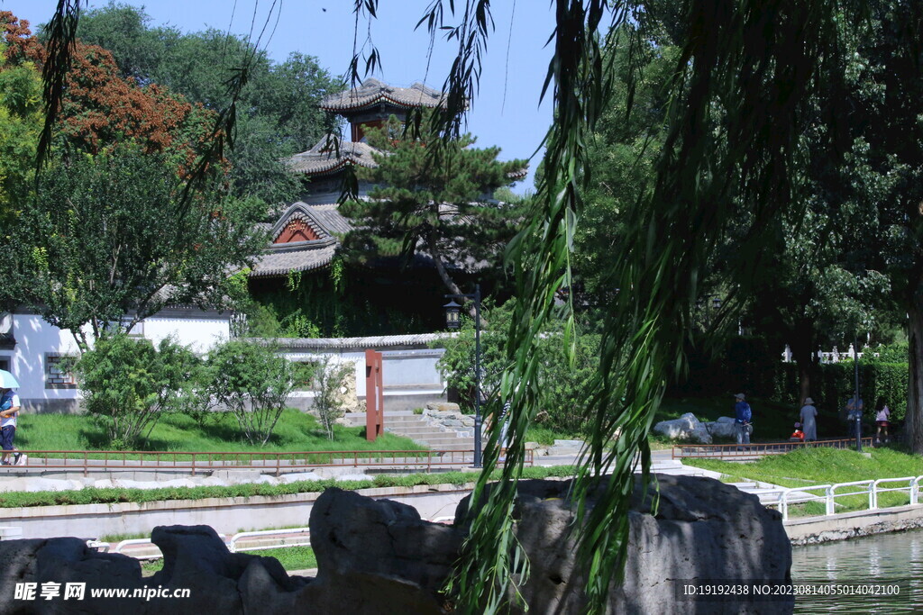 公园风景 