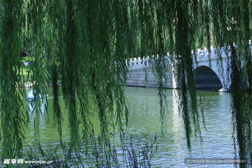 公园风景 