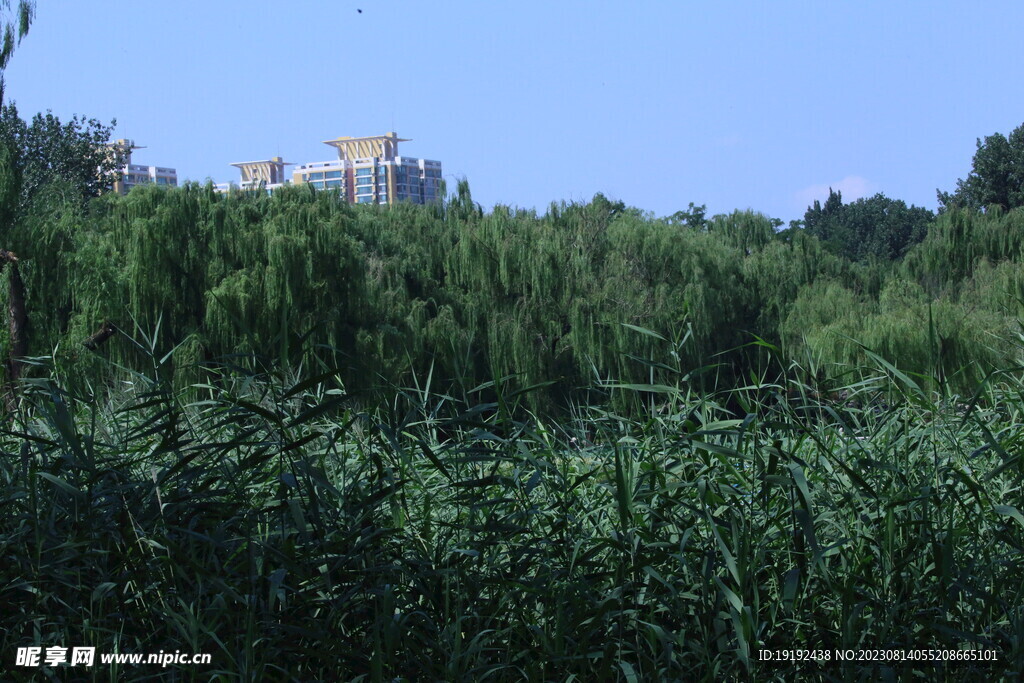 公园风景 