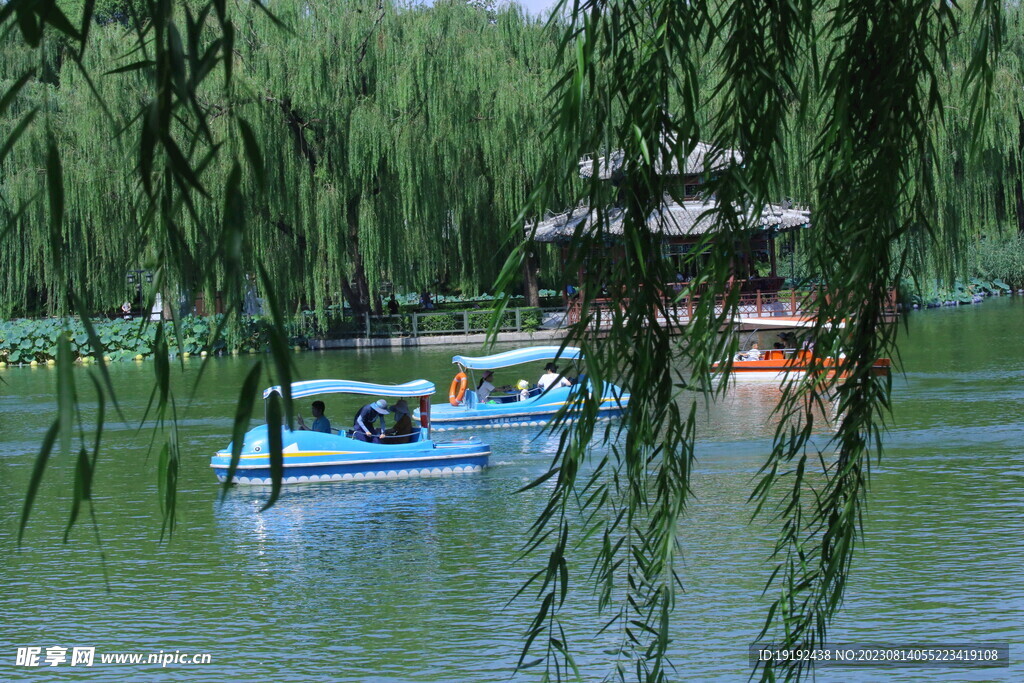 公园风景
