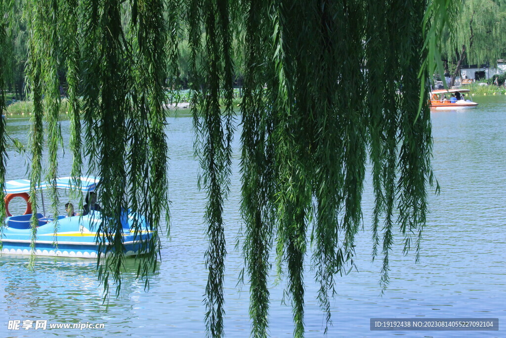 公园风景