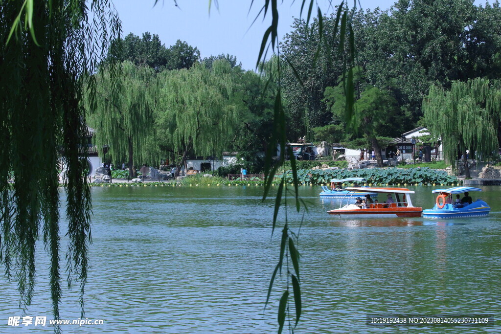 公园风景