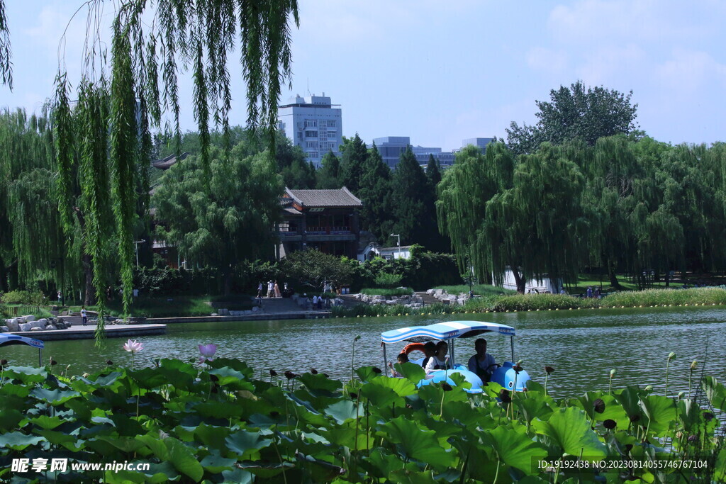 公园风景 