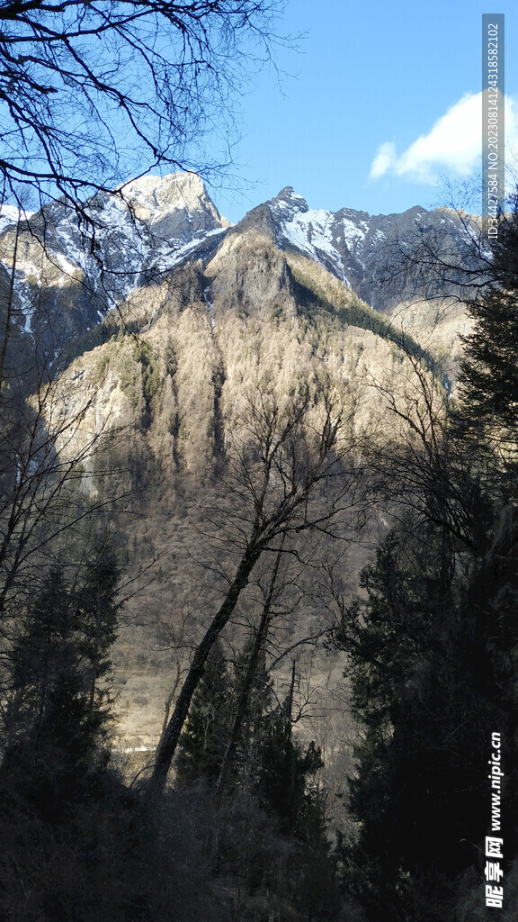 山林雪山