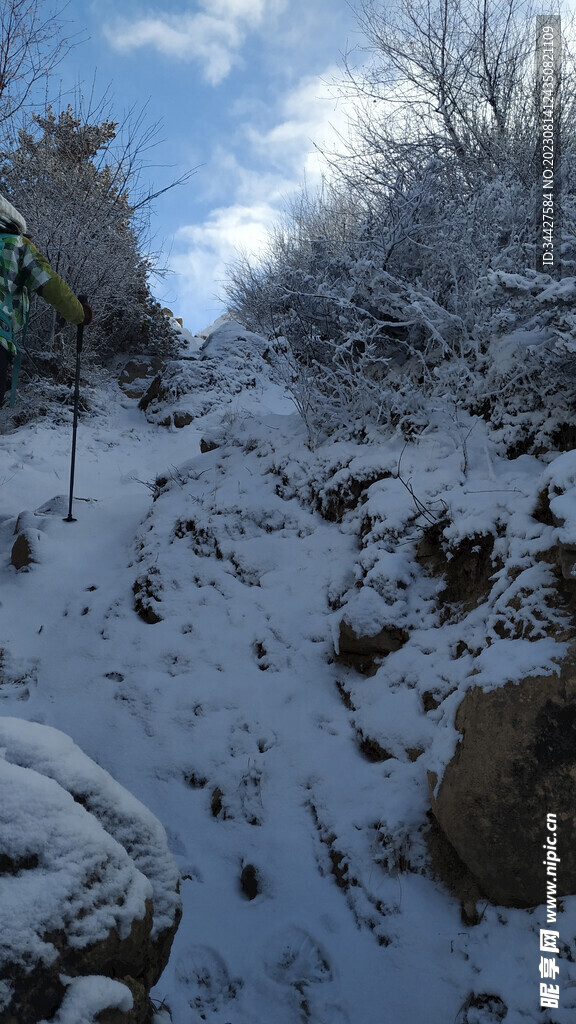 雪景