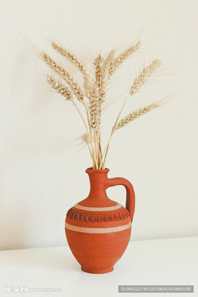 小麦 