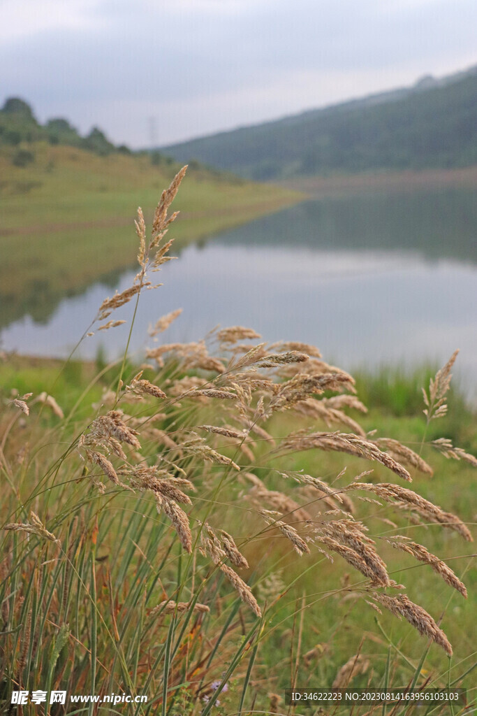 湖边