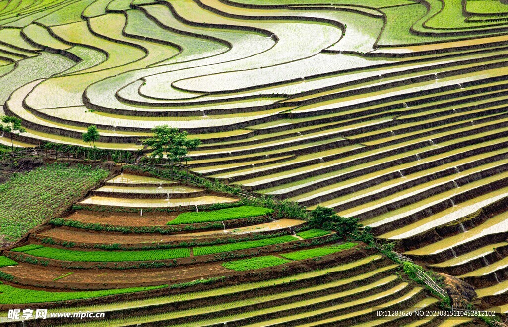 梯田风景