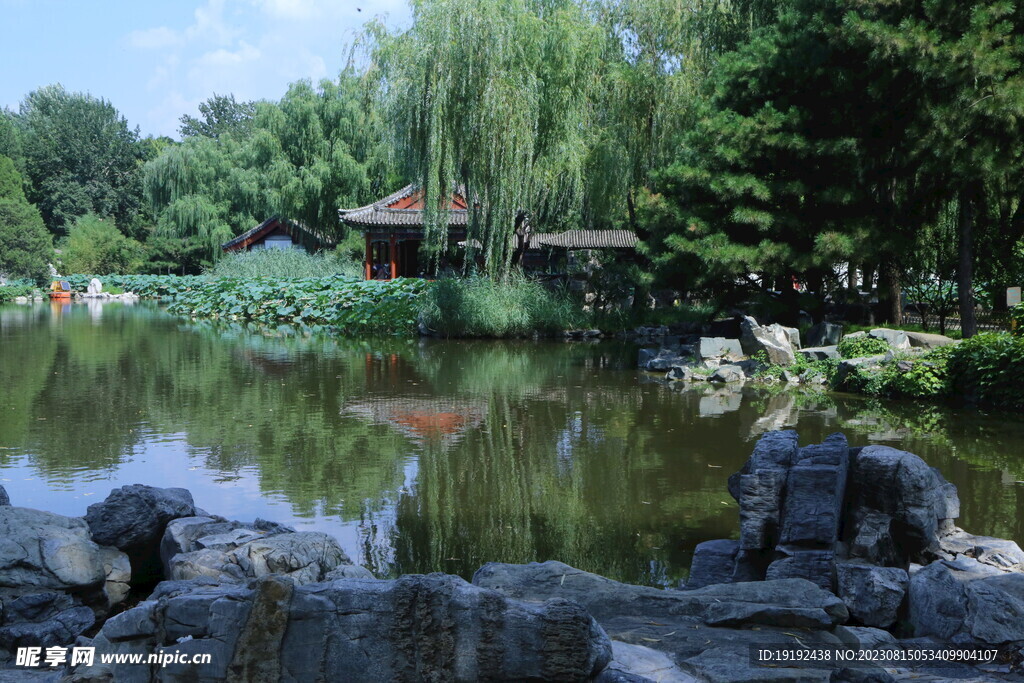 公园风景